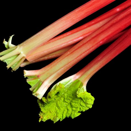 Yodeyma - Linet 15ml