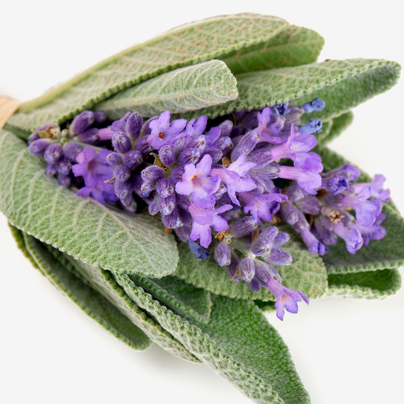 Yodeyma - Résolu 50ml