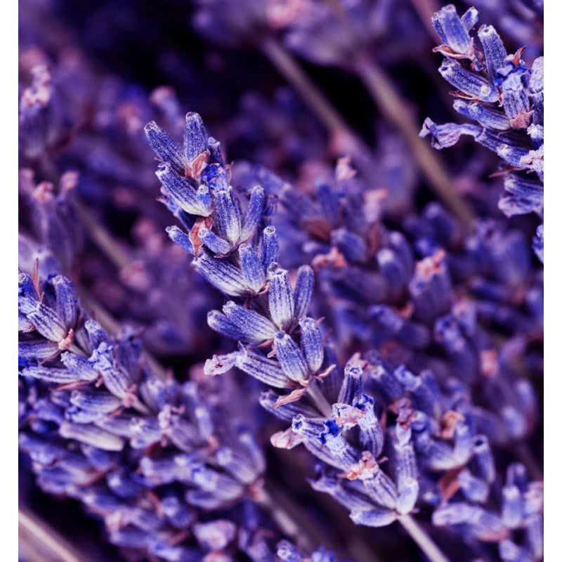 Yodeyma - Instint 50ml