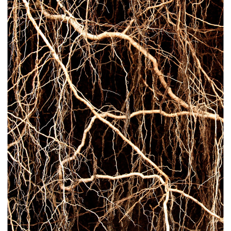 Yodeyma - Metal Sport 50ml